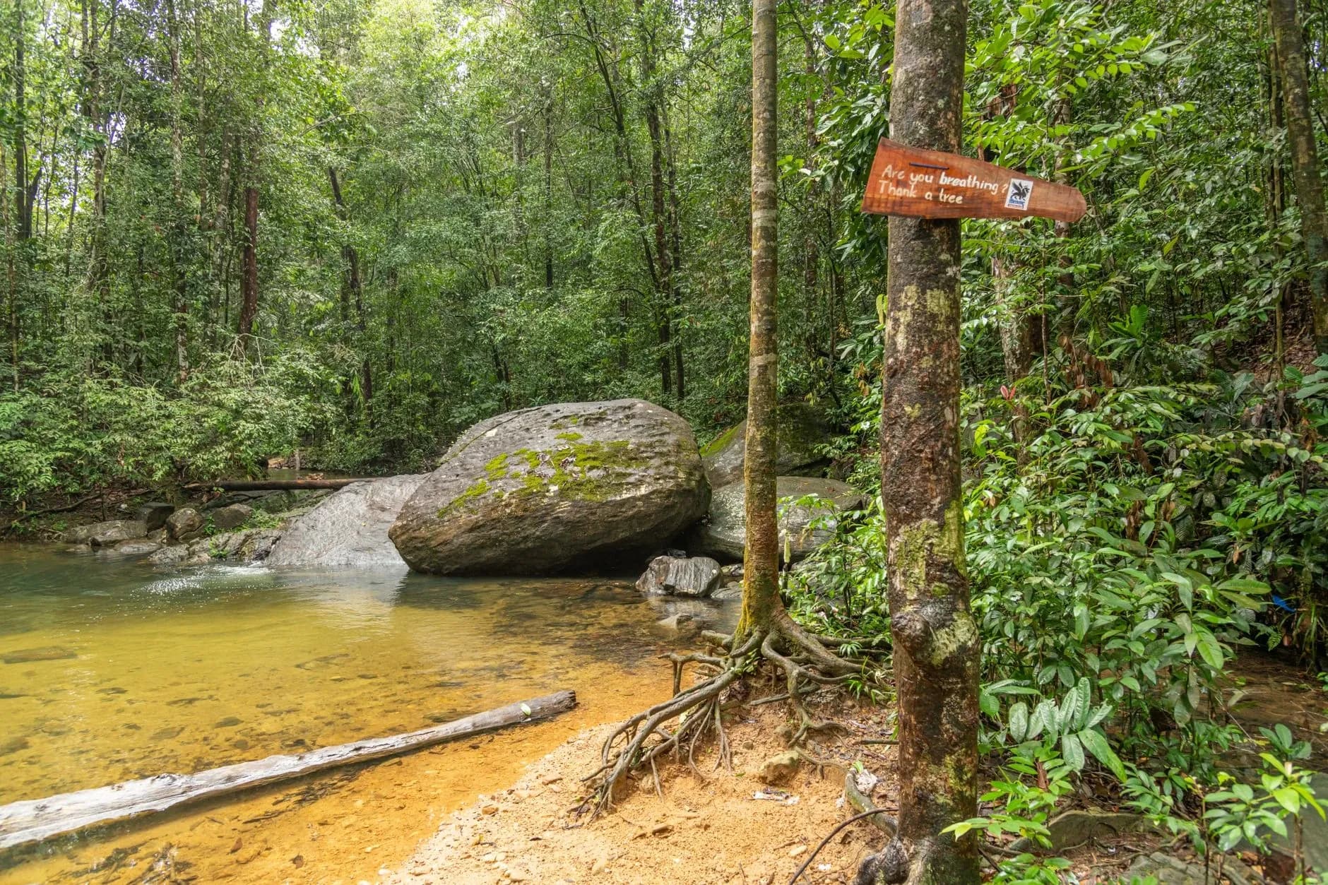 Taman Negara